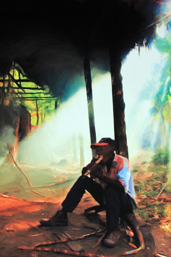 Homme qui travaille la canne à sucre